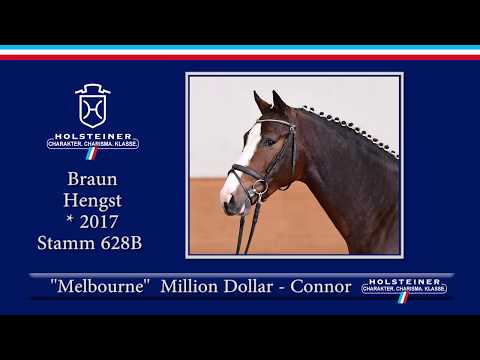 Holsteiner Frühjahrsauktion 2020 - Nr. 14 Melbourne v. Million Dollar - Connor
