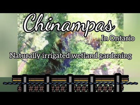 , title : 'Chinampas- naturally irrigated indigenous wetland permaculture technique & sustainable swamp gardens'
