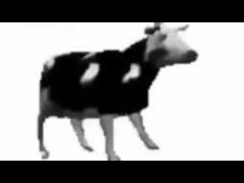 El gobierno gobierna con su pierna👨‍⚖️👩‍⚖️🦵(con imagenes🎆)