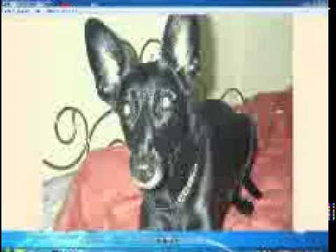 MIX-111 - Elfo,Klopfgeister,Flowjob,Inception,Necmi u.v.a.(SET BY DJ HELMIC - 14.02.2015)