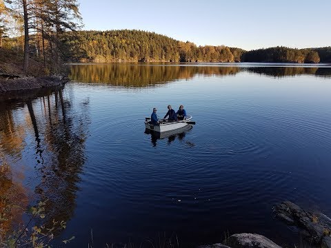 Cabin Fever vol. 1 in Drangis
