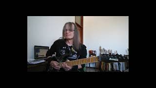 ELEPHANT GUN (DAVID LEE ROTH) - STEVE VAI GUITAR COVER BY THIERRY ZINS