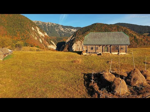#SateleMunților: Peștera și Măgura, toamna pe culoarul Rucăr-Bran (Filmare aeriană 4K)