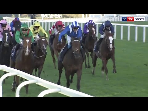 HUGE upset! ANMAAT wins the QIPCO Champion Stakes at Ascot!