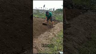 Download lagu pring cagak radio soyo jengking soyo jero.... seng macol... mp3 Download lagu pring cagak radio soyo jengking soyo jero.... seng macol... mp3