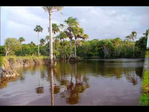 LLANERO VUELVE A TU LLANO. ERWYN VELANDIA. ÁLBUM LLEGO VELANDIA 2013