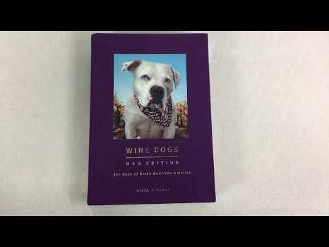 download lagu mp3 mp4 Wine Dogs Usa, download lagu Wine Dogs Usa gratis, unduh video klip Wine Dogs Usa