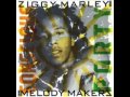 Ziggy Marley - Have You Ever Been to Hell