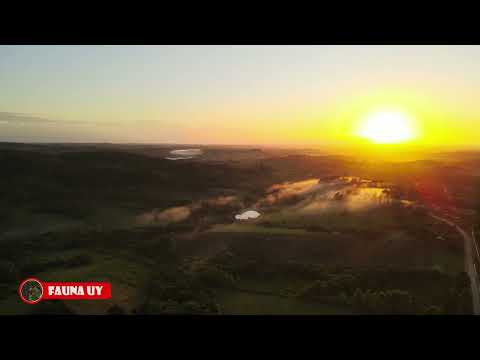 ☀️Un Amanecer de Verano en Sitio Flor & Osoria