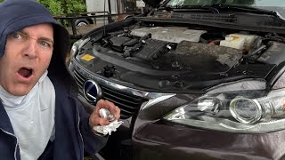 Lexus / Toyota HYBRID COOLANT CHANGE | Engine + Inverter + Oil + CVT