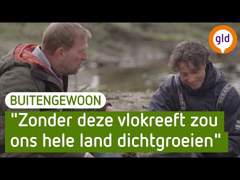 Waar gaat het nou om in de Gelderse natuur? | BuitenGewoon