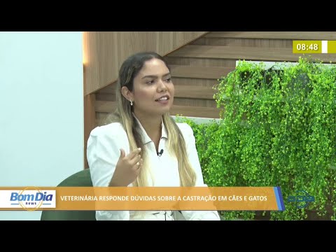 Veterinária responde dúvidas sobre a castração em cães e gatos 24 01 2022