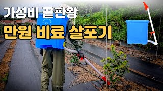 만원짜리 비료 살포기? 진짜 가성비일까? 수동 비료 살포기 써봤더니 대박? ????