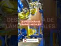 Proyecto Despegadora De Láminas Iniciales