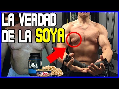 download lagu mp3 mp4 Soya Proteina, download lagu Soya Proteina gratis, unduh video klip Soya Proteina