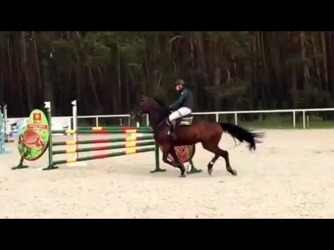 Fun Risk ZR Olsza Majowy Laur Olszy Klasa N z Jokerem 15.05.2016