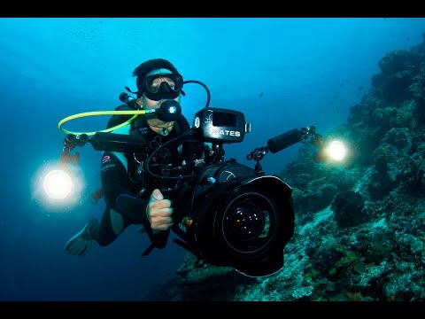 A Day in the Life of an Underwater Cameraman