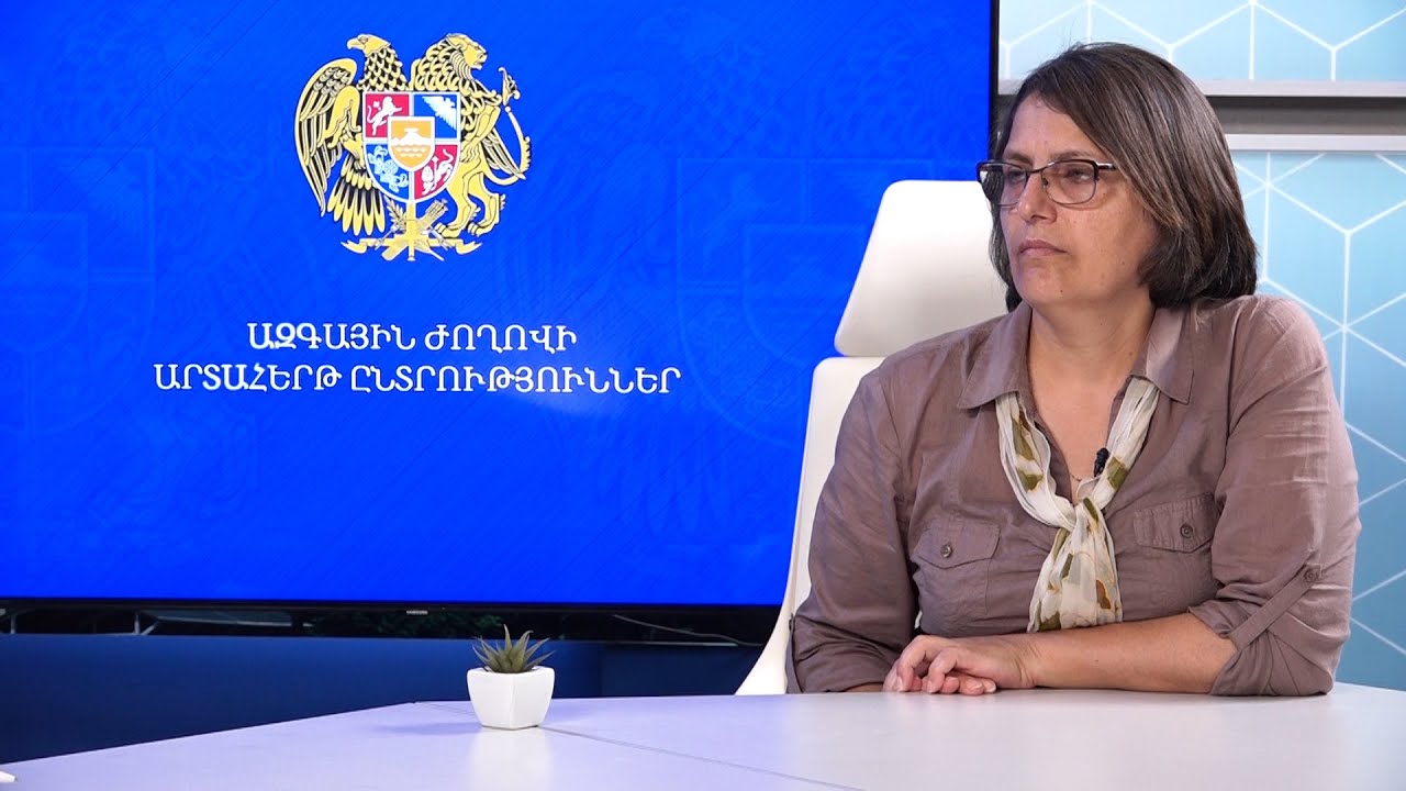 Հայաստանում վախի մթնոլորտ կա․ Կարին Տոնոյան