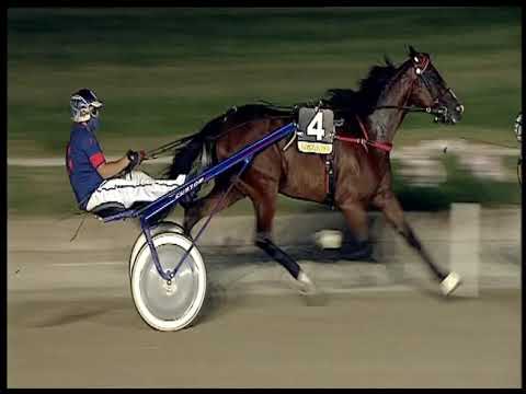 Trotto 27/06/2020 - 8ª corsa