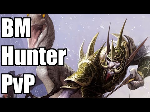 This Spec Pumps! - BM Hunter PVP 9.2.5