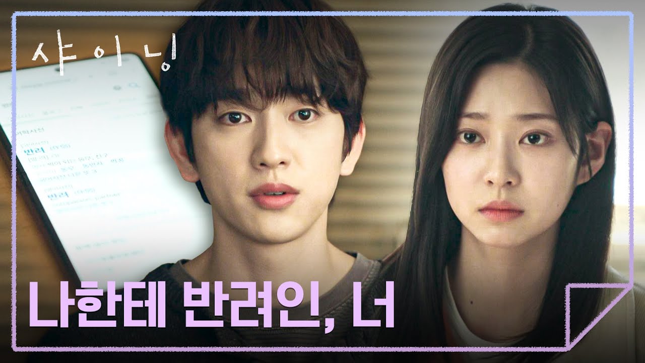 친구가 되는 두 사람? 박진영이 제시하는 새로운 관계🧍🧍‍♀️ | 샤이닝 5회 | JTBC 260320 방송