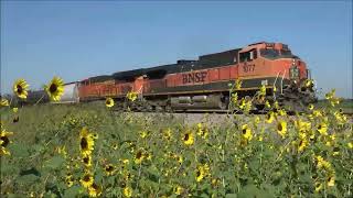 Two BNSFs in Nebraska