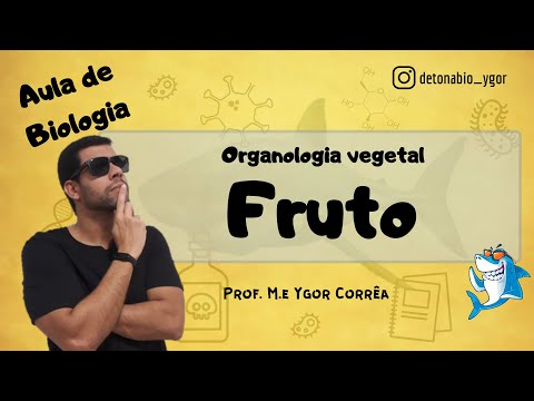 Botânica (Aula 11) - Organologia vegetal - Fruto