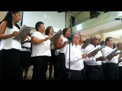 Canta e não te cales