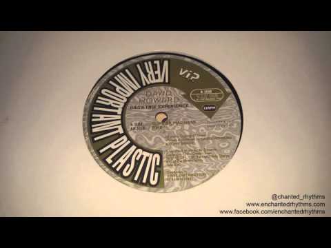 David Howard  - Summer Madness // Very Important Plastic (1999)