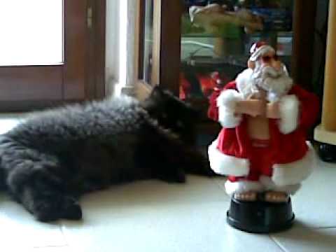 Lana Il Natale è arrivato.mp4