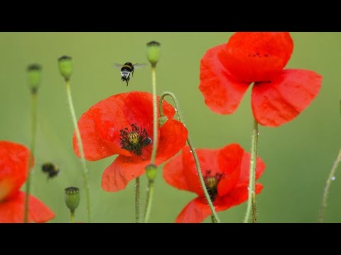 Ganz entspannt oder der Sommer der zweiten Welle? Euronews am Abend 02.07.