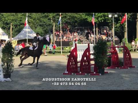 Extra Van Essene Winning 1,50m Ranking class CSI*** Beervelde
