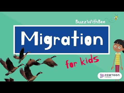 Part of a video titled Migration for Kids - YouTube