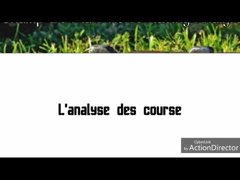 Champ De Mars Horse Racing Analyse (Meeting 19 - 04 August 2018)