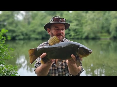 How To Tie The Universal Margin Rig - Tench, Carp, Crucian, Roach.