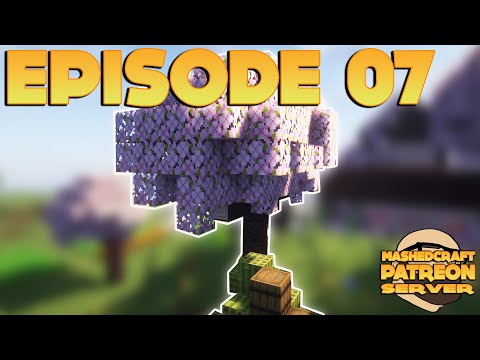 Patreon Server Hijacked by THE PINK PRANKER!!!