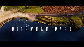LONDON | RICHMOND PARK | DJI MINI 2 & DJI POCKET 2 | 4K CINEMATIC