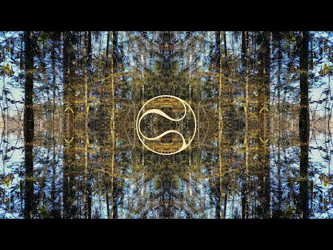 DEKEL & SHTUBY - Shade