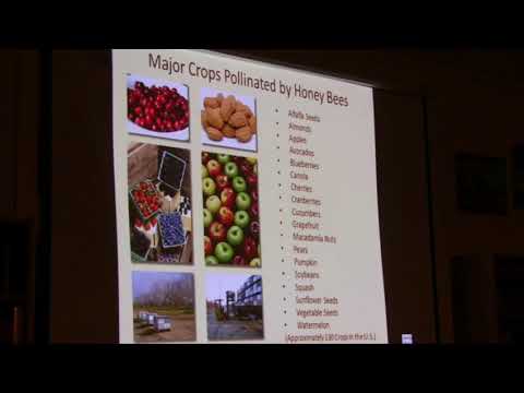 Bill Mares  40 Years of Beekeeping