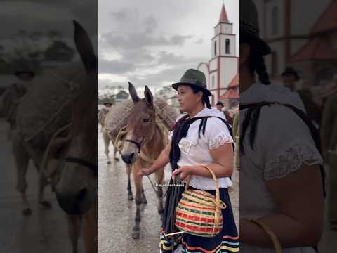 Parte 3 Mujeres arrieras de Boyaca 🐴👸🏻❤️#arrieria #Tibana