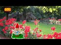 Gitti &amp; Erika - Gartenzwerg-Marsch (Adelheid)