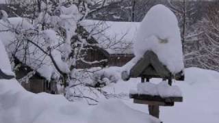 preview picture of video 'The Snow Hurricane Storm, February, 2010'