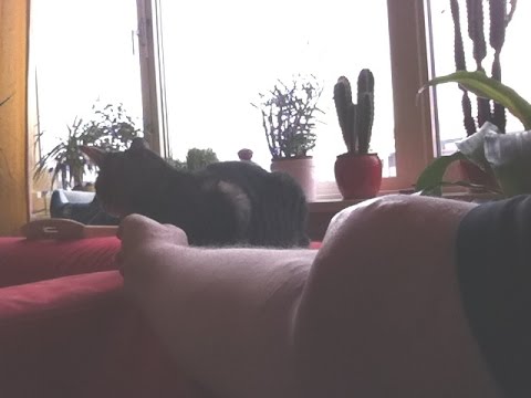 Huisartsenpost Den Helder 22 mei 2016