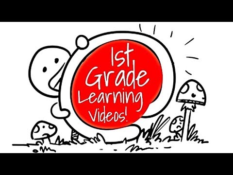 1st Grade Kids Learning Videos Compilation