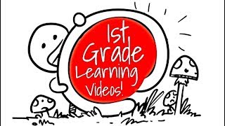 1st Grade Kids Learning Videos Compilation