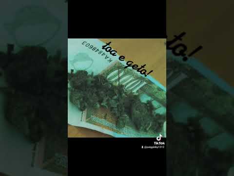 under-demo * yungpinky *