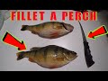 How To Fillet Clean A PERCH / EASY And BEST Way To Do It! / QUICK And EASY