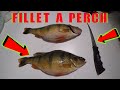 Video Thumbnail for How To Fillet Clean A PERCH / EASY And BEST Way To Do It! / QUICK And EASY