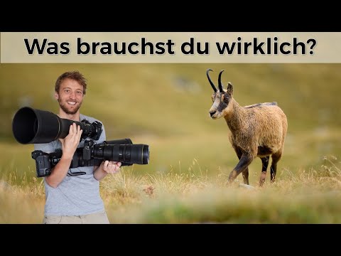 Which lenses for wildlife photography? With @ChrisKaula