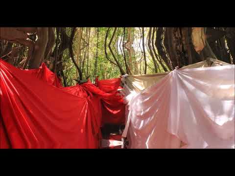 Antsa Ny Jao (Kaka Lehilahy)